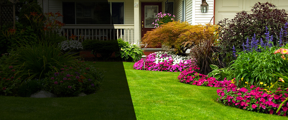 Buchanan Landscapers